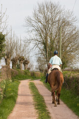 homme sur un cheval sur un chemin de campagne, &eacute;quitation, sortie &agrave; cheval