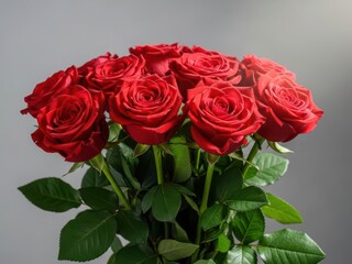 Naklejka premium a bouquet of red roses with green leaves on a gray background