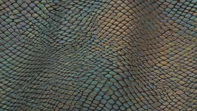 Detailed Close-up of Natural Snake Skin Pattern with Scales and Unique Texture