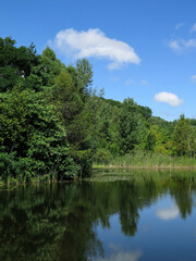 Obraz premium Still pond reflecting lush green trees under blue summer sky.