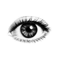 Black and white halftone close up of human eye with detailed eyelashes iris and pupil in retro dot pattern transparent background