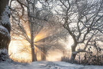 W promieniach © Anna