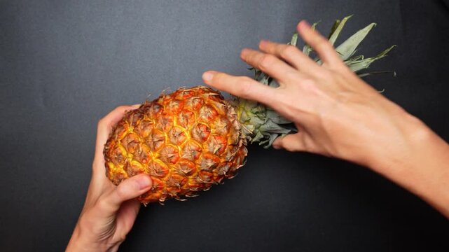 Hands holding a pineapple on a black surface in a kitchen setting. Hands are gripping a pineapple on a dark surface in a kitchen.