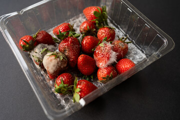 Strawberries rotting and growing mold inside a clear plastic package, illustrating concepts of spoilage, decay, and food waste