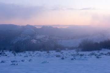 Obraz premium A pale pink afterglow on the horizon gives a touch of warmth to this snowy foggy winter landscape in the mountains of Southern Utah USA.