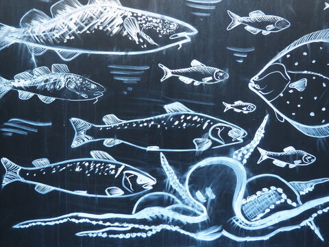 cartoon pattern with fishes