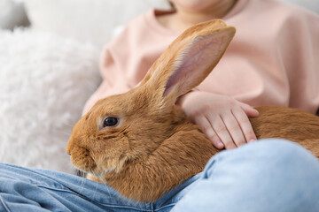 Girl with cute bunny at home, closeup