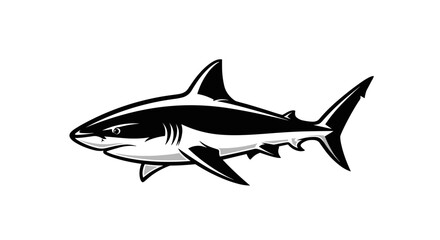 Obraz premium Illustration of a fierce shark in black and white.