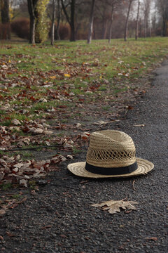 Straw hat resting on a path surrounded by fallen autumn leaves in a park