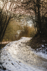 Narrow snowy hiking trail leading steeply uphill through a dense thicket of bare trees in a quiet winter woodland landscape