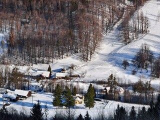 winter landscape with houses and forest