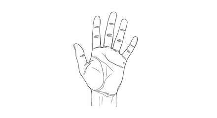 Obraz premium Detailed line drawing of human hand palm, fingers spread, simple black and white illustration