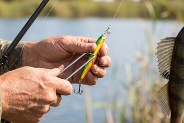 Fisherman prepares bait and holds caught fish by the water during a sunny day at a local fishing spot near a lake