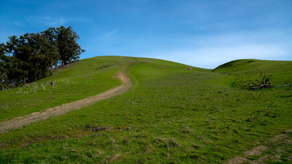 A narrow, worn path winds its way up a steep, vibrant green hill on a beautiful sunny day, inviting hikers to explore the peaceful, natural landscape