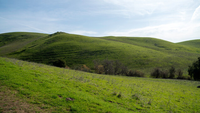 Nature's Embrace: Gentle Slopes and Grassy Pastures Define This Idyllic, Peaceful Countryside View, Evoking a Sense of Calm
