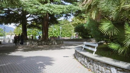 Obraz premium Sunlit park walkway with soft defocused bokeh background and blurred trees; background backplate copyspace calm.