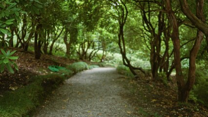 Obraz premium Garden path framed by soft blurred trees and a shallow defocused canopy, out of focus gravel walkway garden; background backdrop copyspace calm.