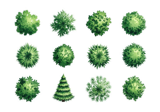 twelve hyperdetailed, top-down watercolor illustrations of diverse green trees and shrubs (plan view symbols), showing paper texture and brushstrokes on transparent, design asset collection concept