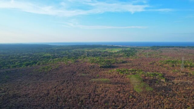 Aerial drone footage of a panorama of Baluran national park, at sunset, with a vast dry savannah, and the north side of Java island sea, in Situbondo regency, Java, Indonesia