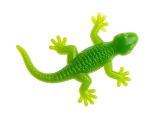 Fototapeta premium Overhead view of a bright green plastic toy lizard against a plain white backdrop