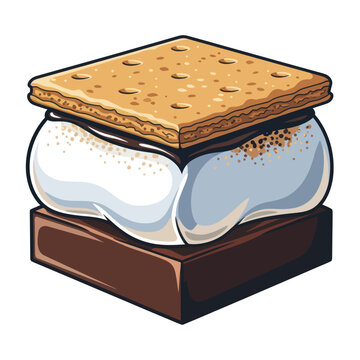 Delicious S'more: Graham Cracker, Marshmallow, and Chocolate Treat