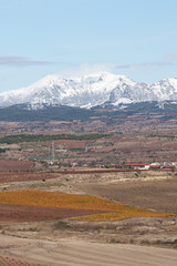Obraz premium Snowy Mountains Behind Autumn Fields and Vineyards