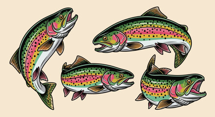 Hand-drawn vector illustration set of rainbow trout in various dynamic poses. Perfect for fishing graphics, apparel, t-shirt designs, stickers, and outdoor-themed designs 