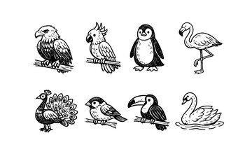 Obraz premium Wildlife and animals bird species in doodle style: eagle, parrot, penguin, flamingo, peacock, sparrow, toucan, swan