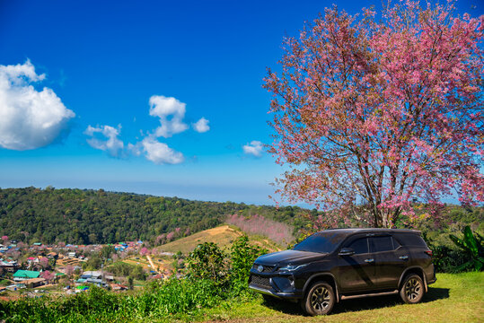 Phu Hin Rong Kla, Thailand-January 20,2026 A Toyota Fortuner 4x4 off-road vehicle is driving on a beautiful mountain road. The background shows towering mountains and winding roads in Phitsanulok 