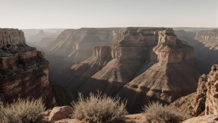 Grand Canyon vista at dawn, muted colors, vast landscape