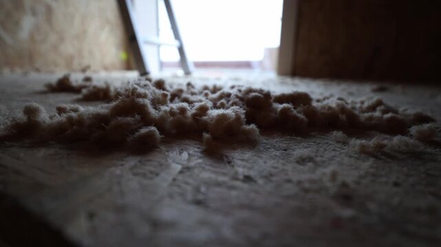 Low angle close up shows fibrous insulation on OSB floor, loft hatch and folding ladder in daylight, dust motion implies recent work, warm tones and shallow depth of field