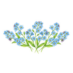 Obraz premium watercolor blue forget-me-not floral banner border with bright green leaves, ultra realistic flat lay isolation on white background with copy space. concept of elegant spring design element