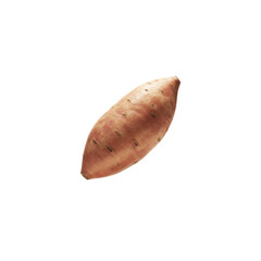 Sweet Potato Isolated on Brown Background Realistic Photo Food