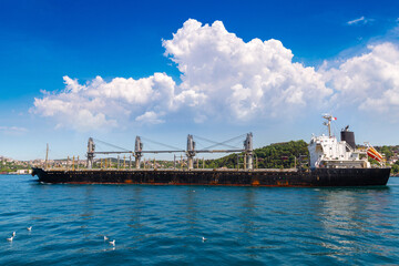 Naklejka premium General Cargo Ship in Istanbul