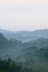 Naklejka premium Foggy and misty view of Panorama Hill located in Sg Lembing Pahang Malaysia