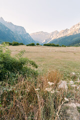 Fototapeta premium mountains meadow valley grass wildflowers landscape nature sky. Wide alpine valley with grassy meadow and wildflowers in foreground, distant rocky peaks and clear pale sky create peaceful outdoor