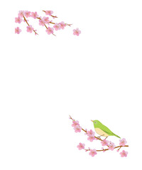 春の背景　桜の花と小鳥