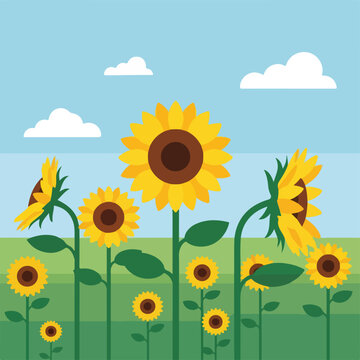A cartoon image of sunflowers growing under a blue sky