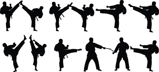 Martial arts fighting poses set, karate kick silhouettes, combat sport training actions, black flat vector illustration © MdNurIslam