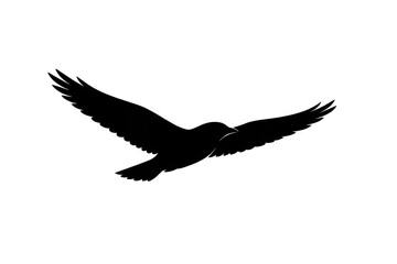 Bird silhouette flying high, wings spread wide, symbolizing freedom, nature, grace, and independence, transparent background