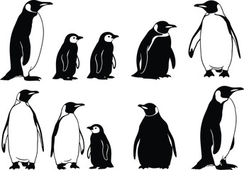 Fototapeta premium Penguin silhouettes set with adult and baby poses, cute arctic birds collection, black and white wildlife illustration isolated on white background