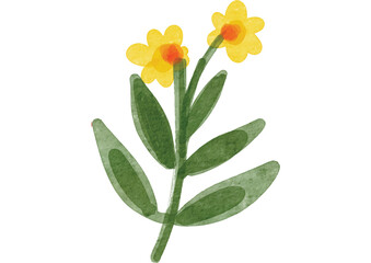 bouquet of yellow tulips isolated