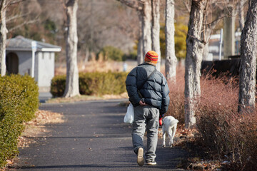 Fototapeta premium 冬の朝の公園で犬を連れて散歩するシニア男性の姿