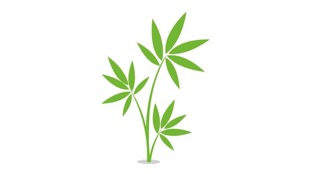 Green leaves on stem, simple animation video vector illustration