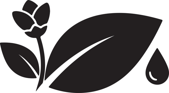 Silhouette of a plant with a large leaf and a water droplet isolated on a transparent background