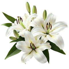 Obraz premium White Lilies Bouquet with Buds and Leaves