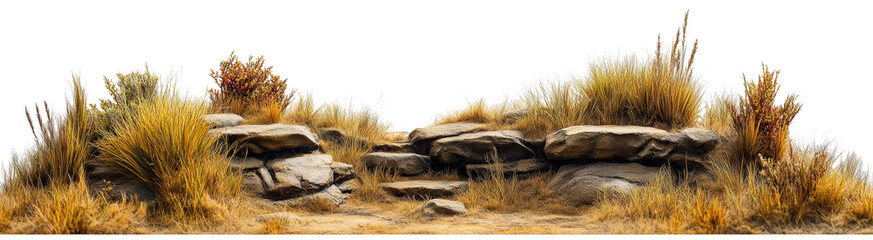 Dry Rocky Landscape with Grassy Vegetation