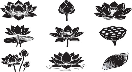 Collection of stylized black and white lotus flower illustrations, including buds, full blooms, and seed pods. © Riki