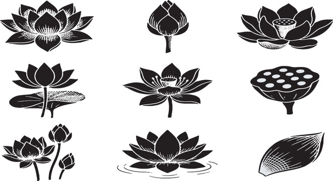 Collection of stylized black and white lotus flower illustrations, including buds, full blooms, and seed pods.