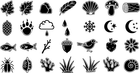 Nature Elements Black  White Glyph Icons Set: Outdoors, Weather, Animals, Plants, and Sea Life Symbols Collection © pixsource